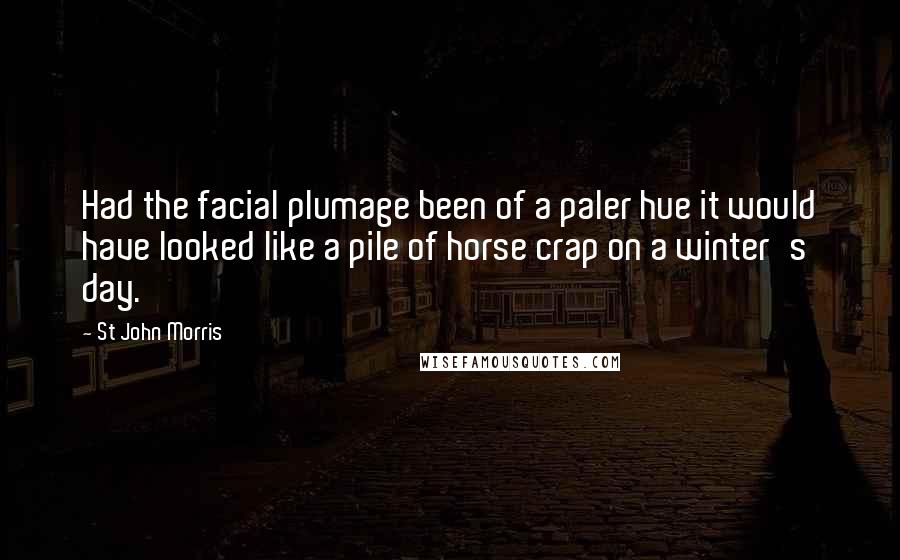 St John Morris Quotes: Had the facial plumage been of a paler hue it would have looked like a pile of horse crap on a winter's day.