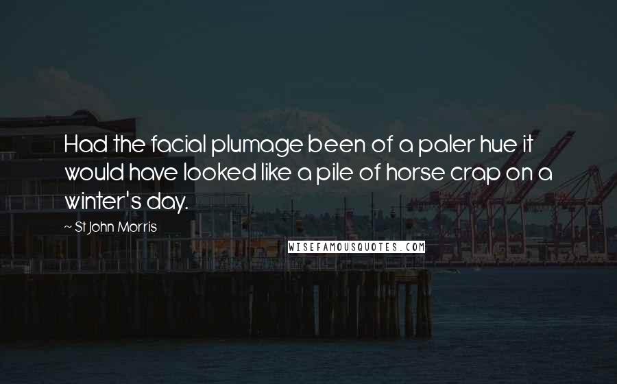St John Morris Quotes: Had the facial plumage been of a paler hue it would have looked like a pile of horse crap on a winter's day.
