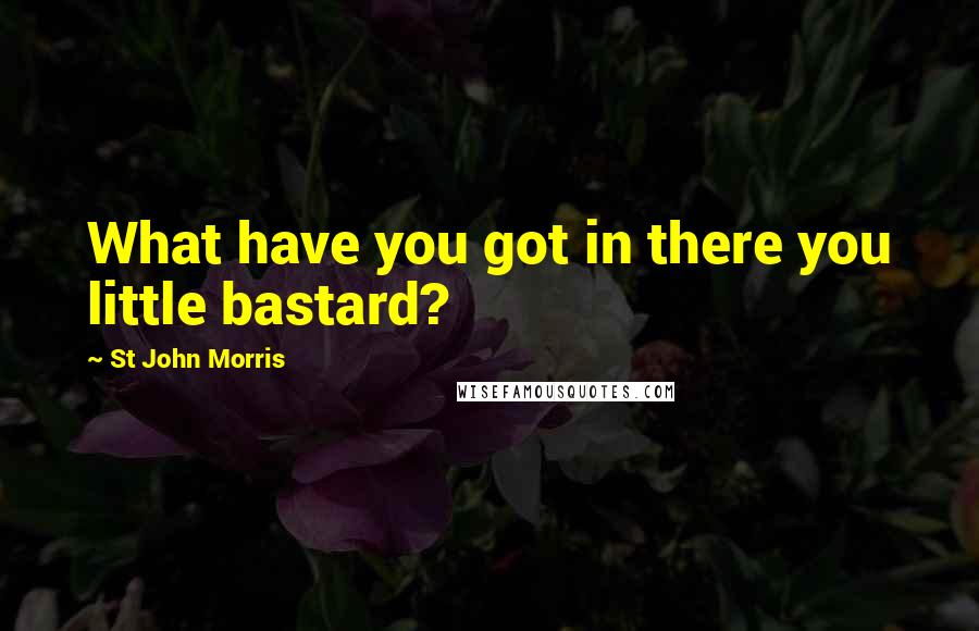 St John Morris Quotes: What have you got in there you little bastard?