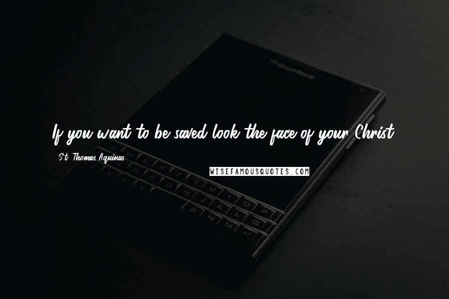 St. Thomas Aquinas Quotes: If you want to be saved look the face of your Christ.
