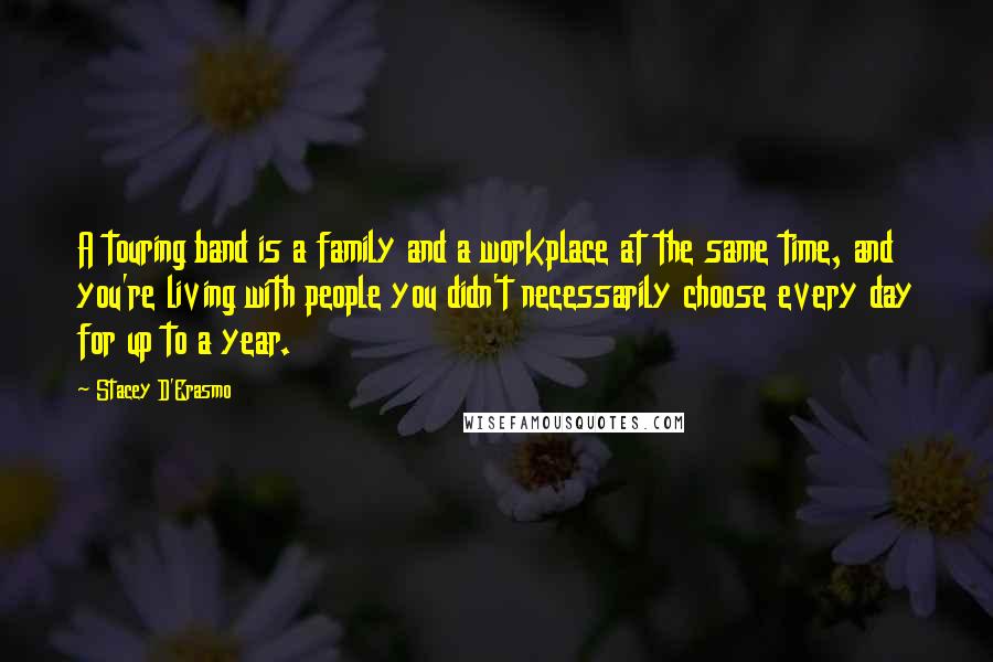 Stacey D'Erasmo Quotes: A touring band is a family and a workplace at the same time, and you're living with people you didn't necessarily choose every day for up to a year.