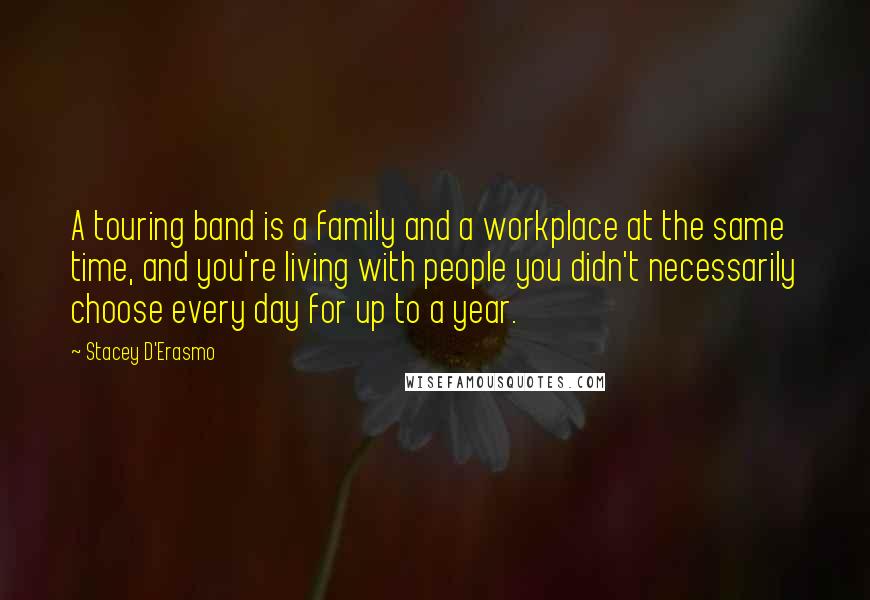 Stacey D'Erasmo Quotes: A touring band is a family and a workplace at the same time, and you're living with people you didn't necessarily choose every day for up to a year.