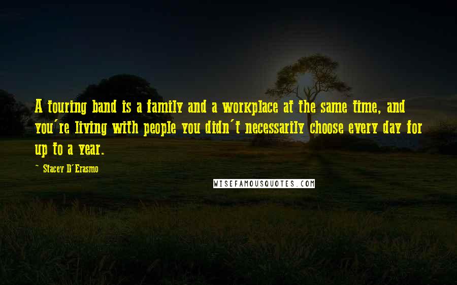 Stacey D'Erasmo Quotes: A touring band is a family and a workplace at the same time, and you're living with people you didn't necessarily choose every day for up to a year.