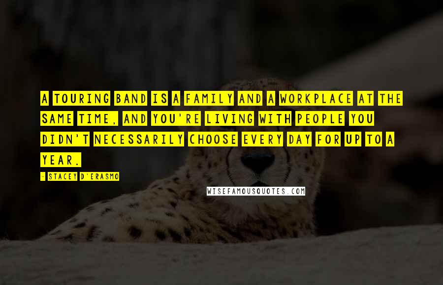 Stacey D'Erasmo Quotes: A touring band is a family and a workplace at the same time, and you're living with people you didn't necessarily choose every day for up to a year.