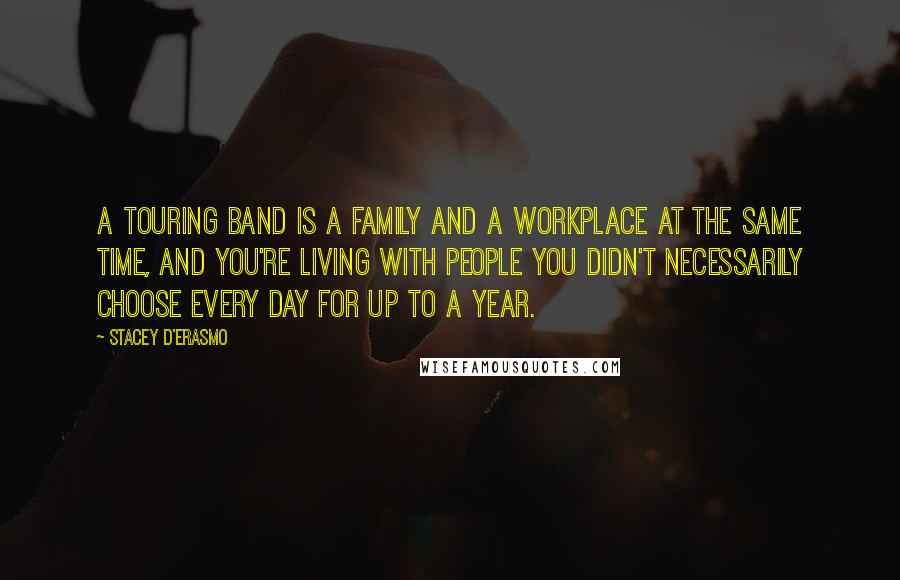 Stacey D'Erasmo Quotes: A touring band is a family and a workplace at the same time, and you're living with people you didn't necessarily choose every day for up to a year.