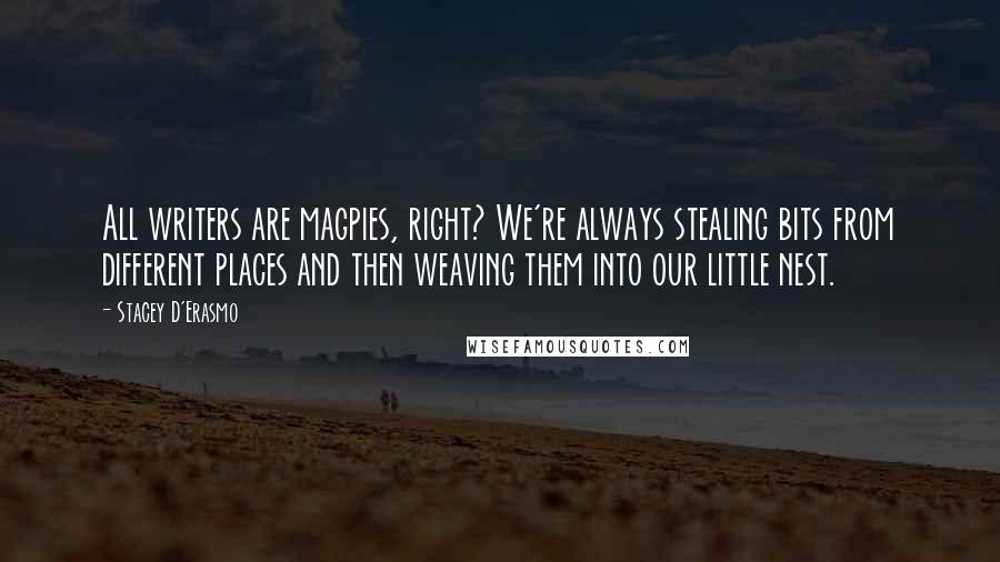 Stacey D'Erasmo Quotes: All writers are magpies, right? We're always stealing bits from different places and then weaving them into our little nest.