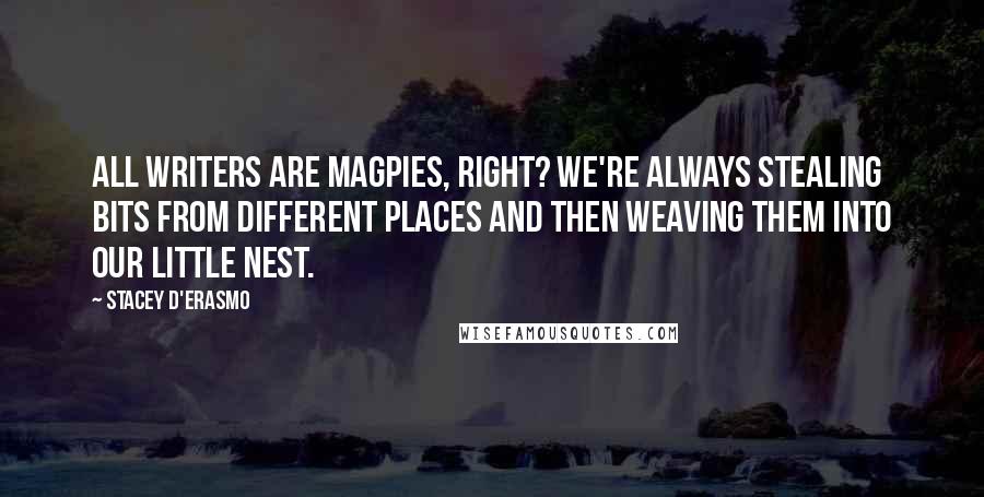 Stacey D'Erasmo Quotes: All writers are magpies, right? We're always stealing bits from different places and then weaving them into our little nest.