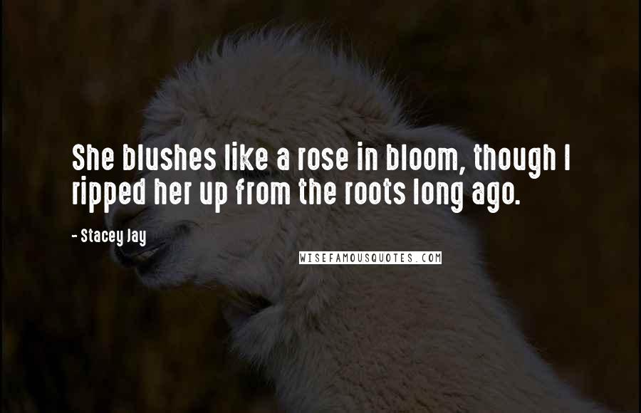 Stacey Jay Quotes: She blushes like a rose in bloom, though I ripped her up from the roots long ago.