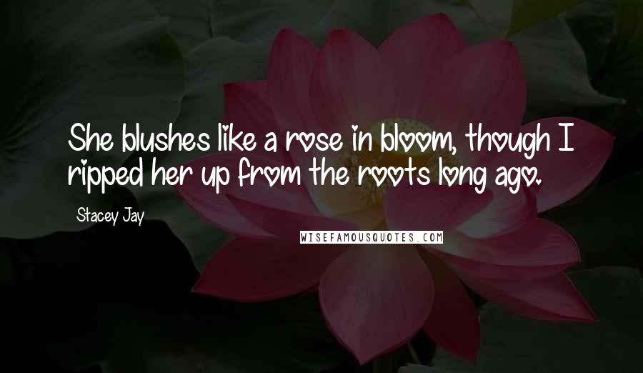 Stacey Jay Quotes: She blushes like a rose in bloom, though I ripped her up from the roots long ago.