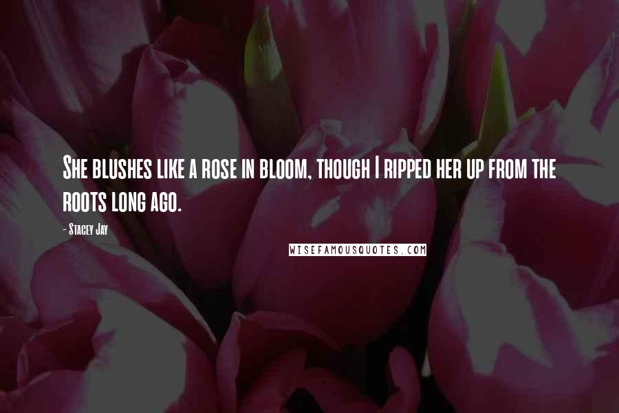 Stacey Jay Quotes: She blushes like a rose in bloom, though I ripped her up from the roots long ago.