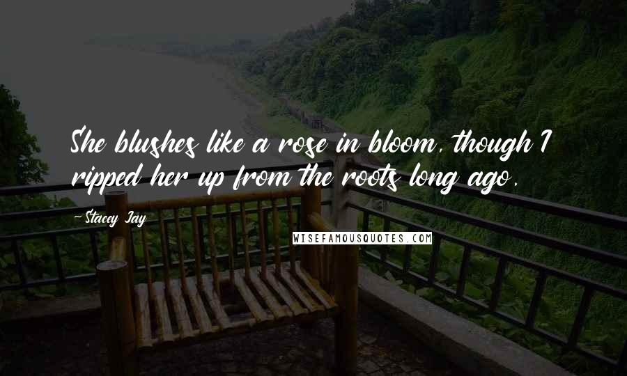 Stacey Jay Quotes: She blushes like a rose in bloom, though I ripped her up from the roots long ago.