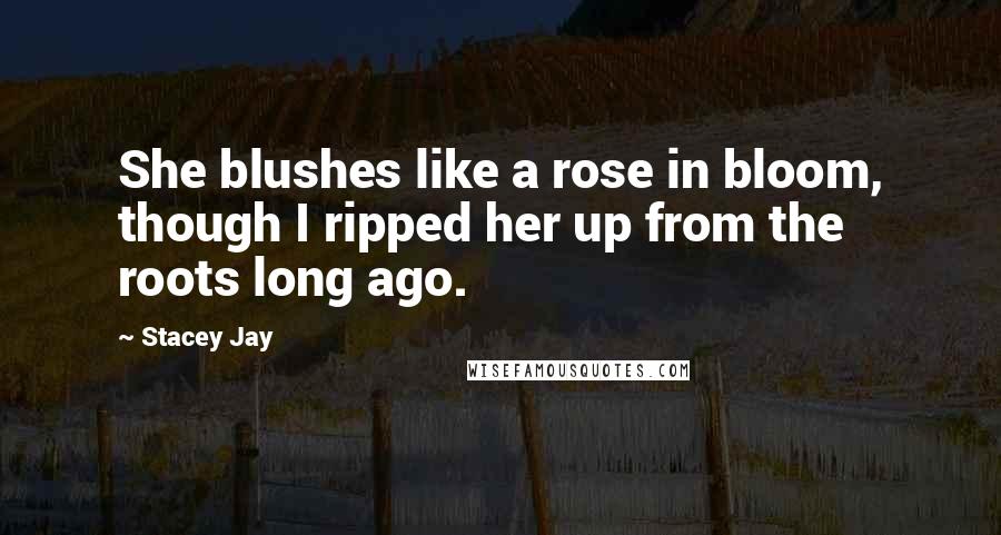 Stacey Jay Quotes: She blushes like a rose in bloom, though I ripped her up from the roots long ago.