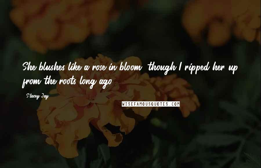 Stacey Jay Quotes: She blushes like a rose in bloom, though I ripped her up from the roots long ago.