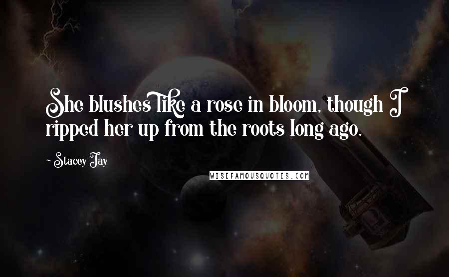 Stacey Jay Quotes: She blushes like a rose in bloom, though I ripped her up from the roots long ago.