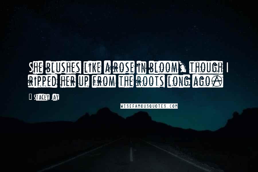 Stacey Jay Quotes: She blushes like a rose in bloom, though I ripped her up from the roots long ago.