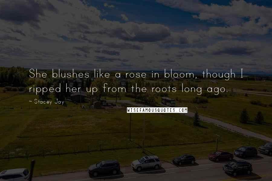 Stacey Jay Quotes: She blushes like a rose in bloom, though I ripped her up from the roots long ago.