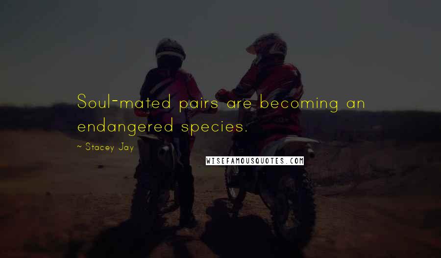 Stacey Jay Quotes: Soul-mated pairs are becoming an endangered species.