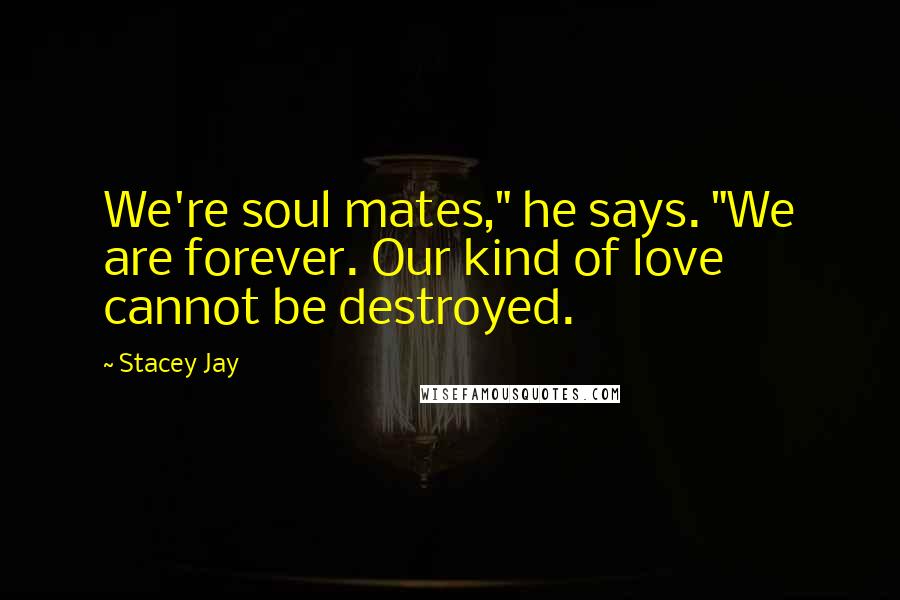 Stacey Jay Quotes: We're soul mates," he says. "We are forever. Our kind of love cannot be destroyed.