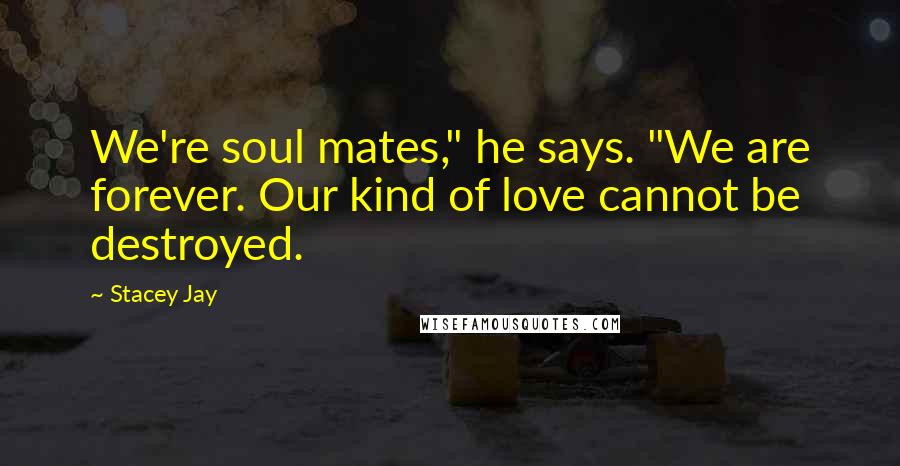 Stacey Jay Quotes: We're soul mates," he says. "We are forever. Our kind of love cannot be destroyed.