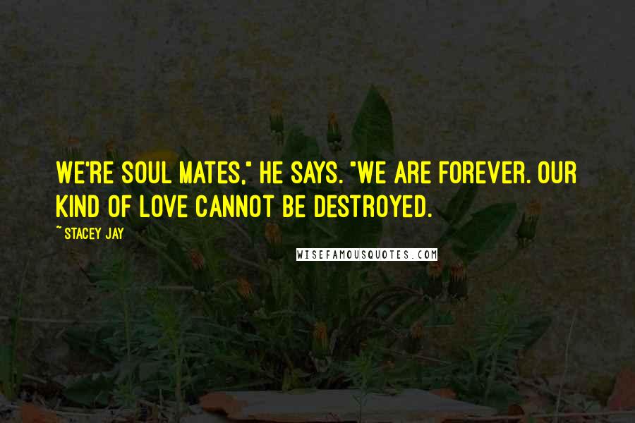 Stacey Jay Quotes: We're soul mates," he says. "We are forever. Our kind of love cannot be destroyed.