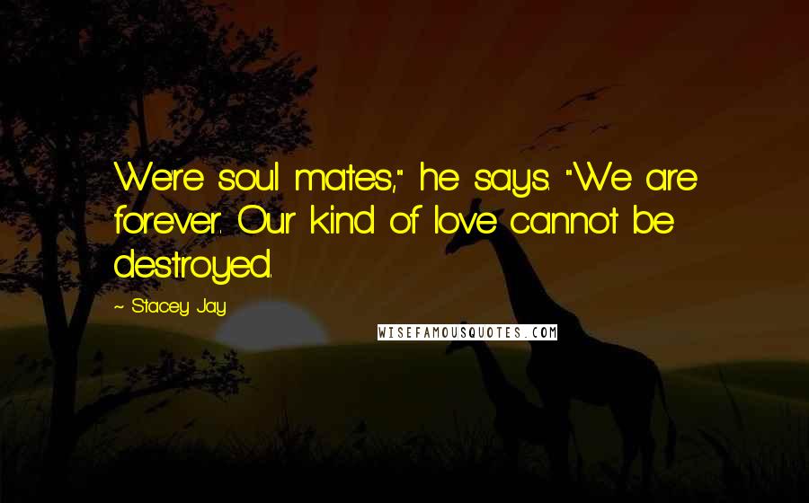 Stacey Jay Quotes: We're soul mates," he says. "We are forever. Our kind of love cannot be destroyed.