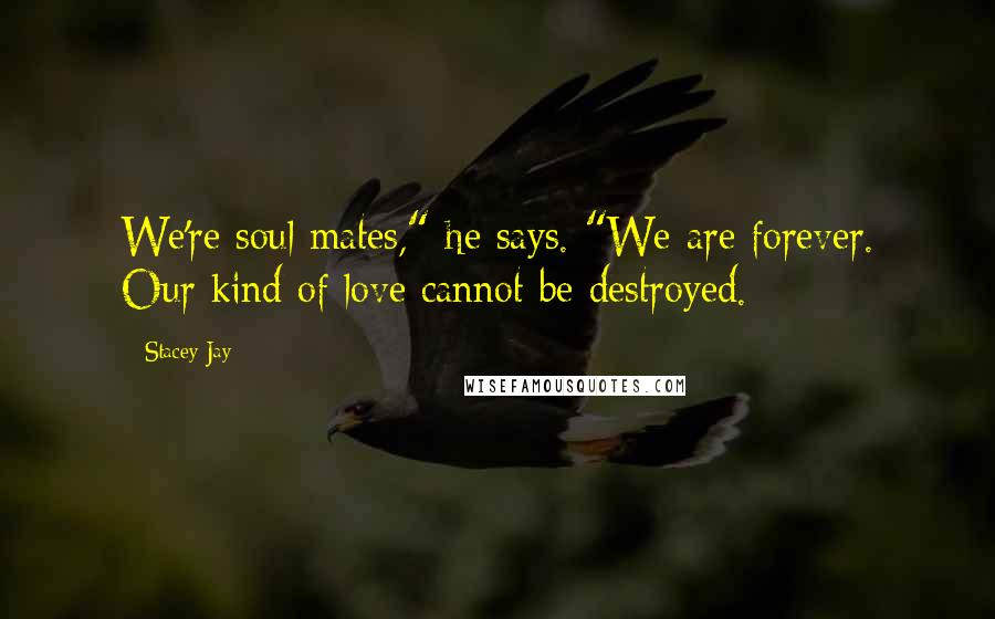 Stacey Jay Quotes: We're soul mates," he says. "We are forever. Our kind of love cannot be destroyed.