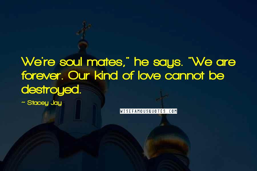 Stacey Jay Quotes: We're soul mates," he says. "We are forever. Our kind of love cannot be destroyed.