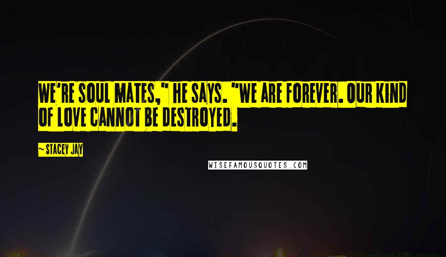 Stacey Jay Quotes: We're soul mates," he says. "We are forever. Our kind of love cannot be destroyed.