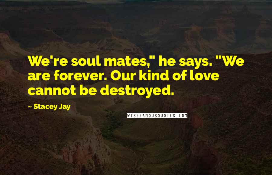 Stacey Jay Quotes: We're soul mates," he says. "We are forever. Our kind of love cannot be destroyed.