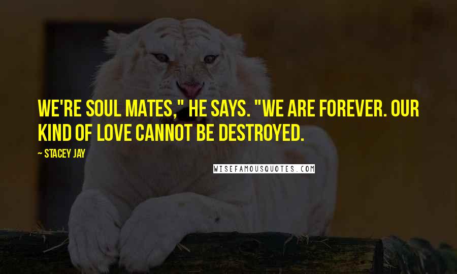 Stacey Jay Quotes: We're soul mates," he says. "We are forever. Our kind of love cannot be destroyed.