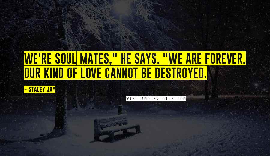 Stacey Jay Quotes: We're soul mates," he says. "We are forever. Our kind of love cannot be destroyed.