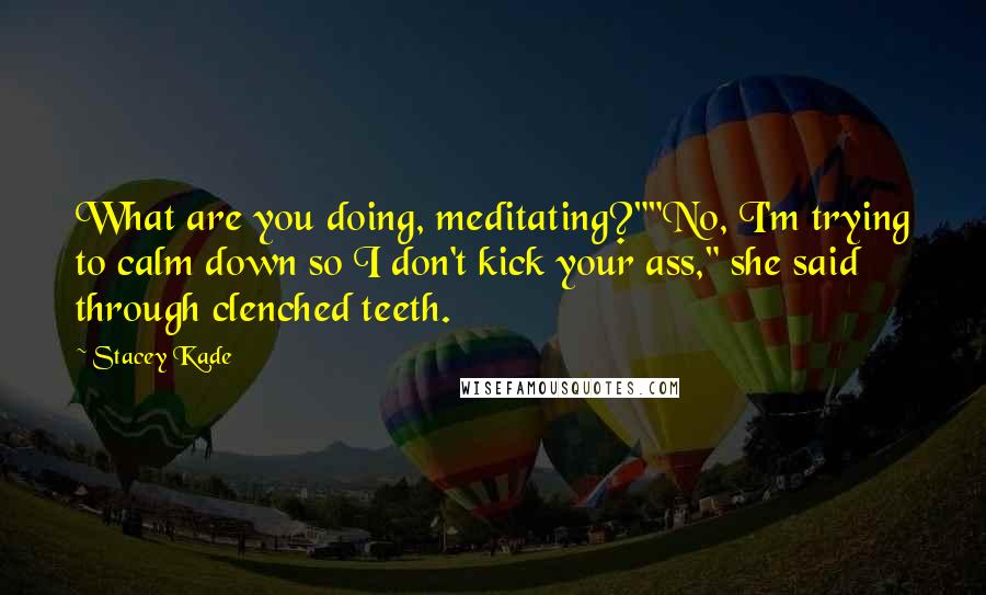 Stacey Kade Quotes: What are you doing, meditating?""No, I'm trying to calm down so I don't kick your ass," she said through clenched teeth.
