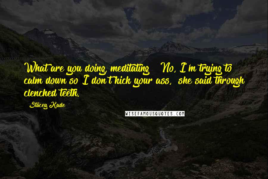 Stacey Kade Quotes: What are you doing, meditating?""No, I'm trying to calm down so I don't kick your ass," she said through clenched teeth.