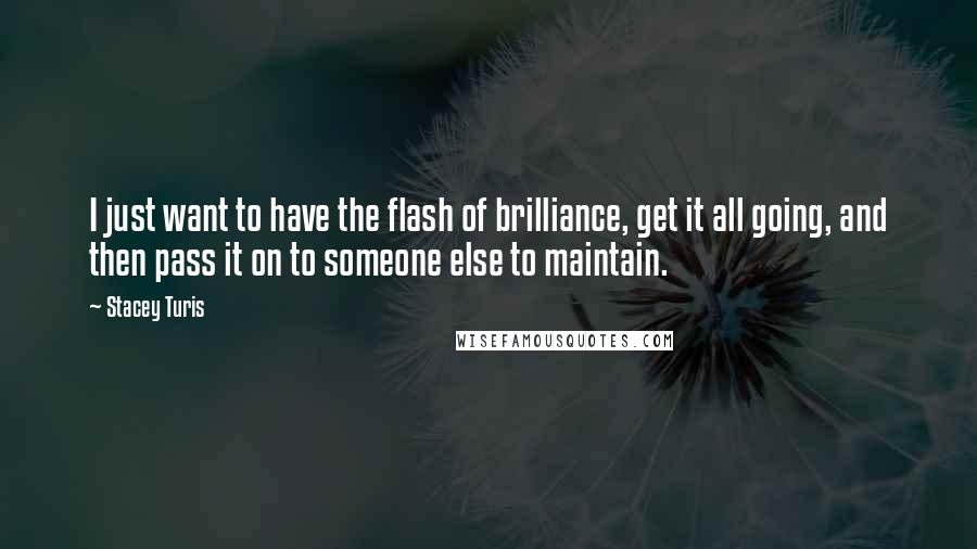 Stacey Turis Quotes: I just want to have the flash of brilliance, get it all going, and then pass it on to someone else to maintain.