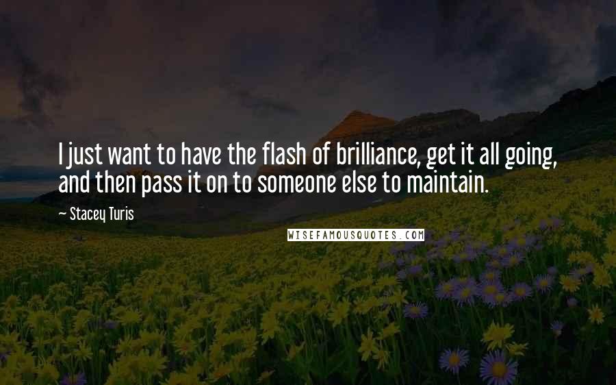 Stacey Turis Quotes: I just want to have the flash of brilliance, get it all going, and then pass it on to someone else to maintain.