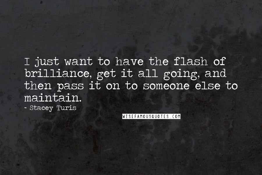 Stacey Turis Quotes: I just want to have the flash of brilliance, get it all going, and then pass it on to someone else to maintain.