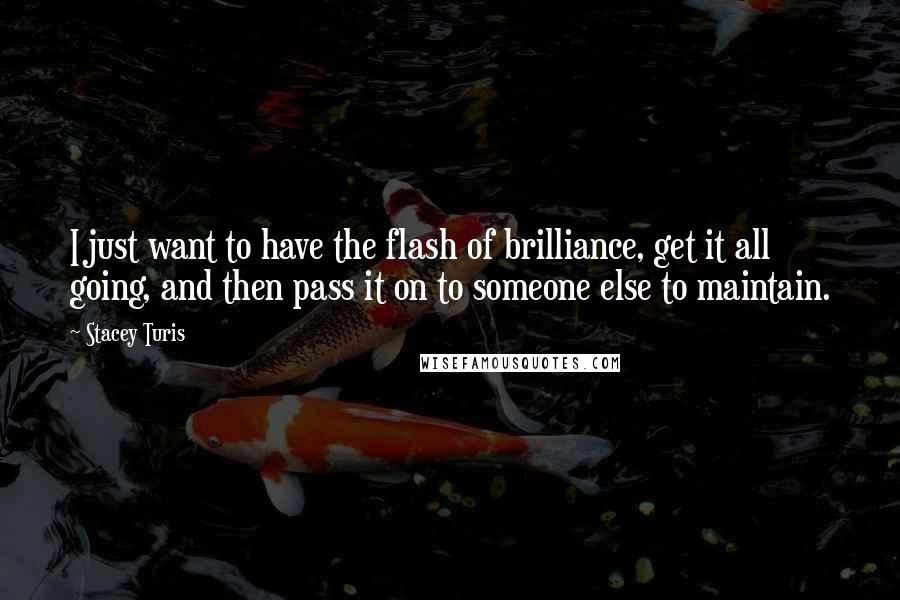 Stacey Turis Quotes: I just want to have the flash of brilliance, get it all going, and then pass it on to someone else to maintain.