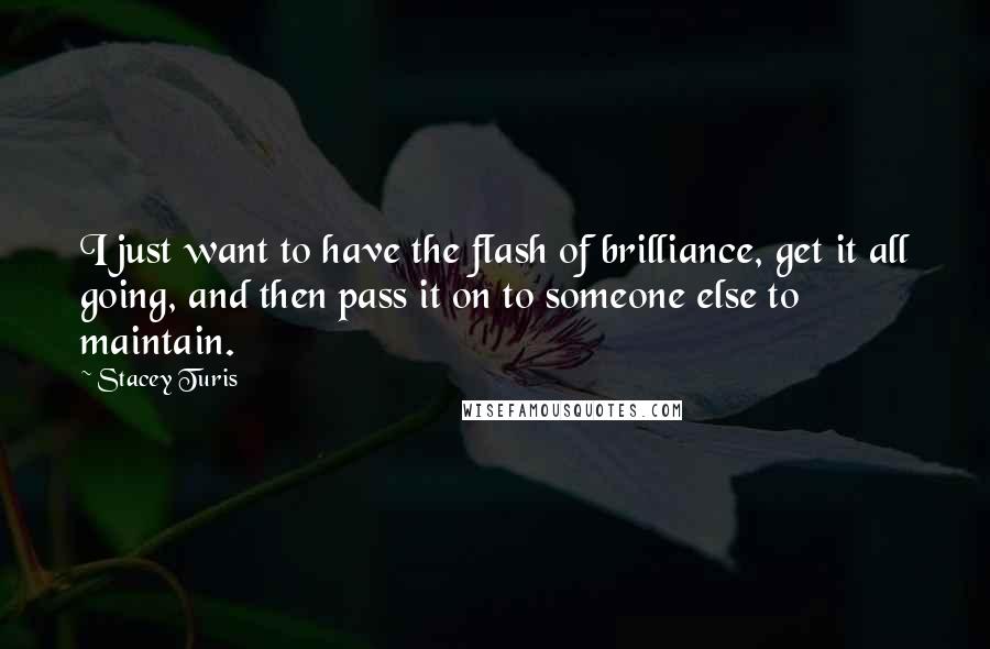 Stacey Turis Quotes: I just want to have the flash of brilliance, get it all going, and then pass it on to someone else to maintain.