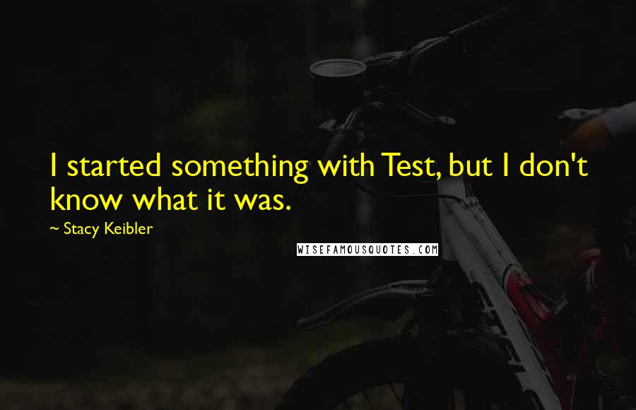 Stacy Keibler Quotes: I started something with Test, but I don't know what it was.