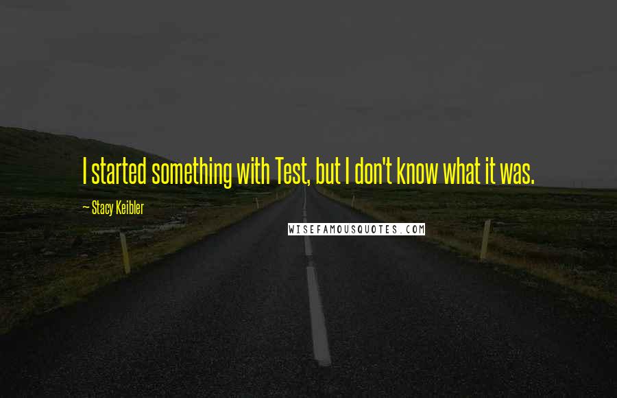 Stacy Keibler Quotes: I started something with Test, but I don't know what it was.