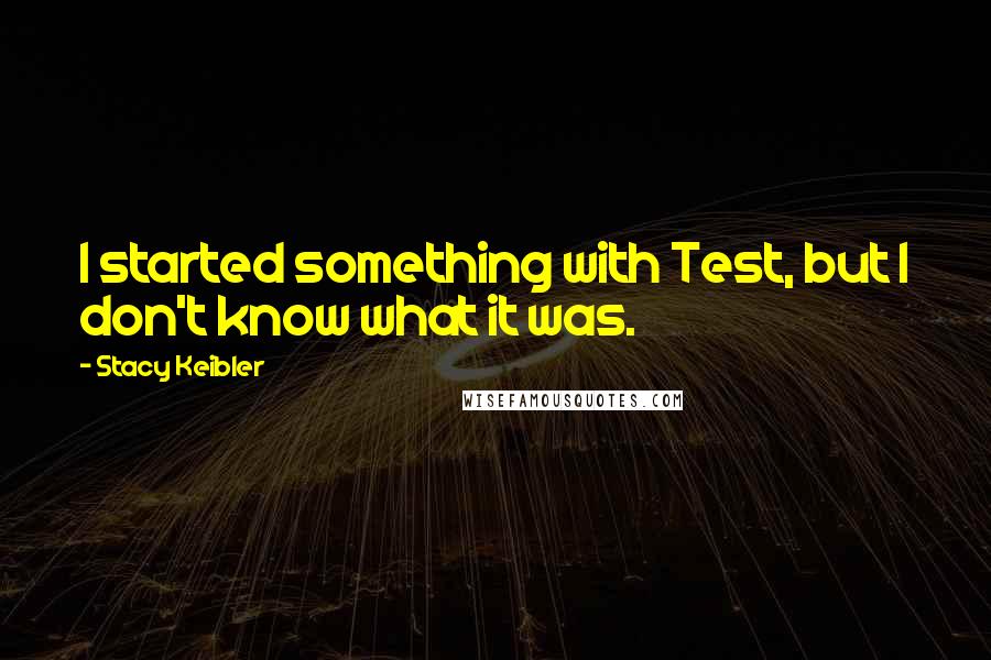 Stacy Keibler Quotes: I started something with Test, but I don't know what it was.