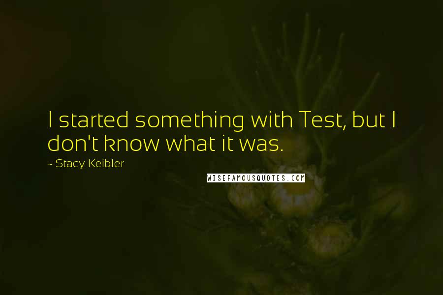 Stacy Keibler Quotes: I started something with Test, but I don't know what it was.