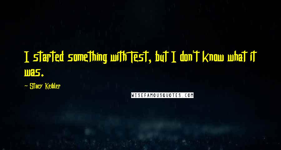 Stacy Keibler Quotes: I started something with Test, but I don't know what it was.