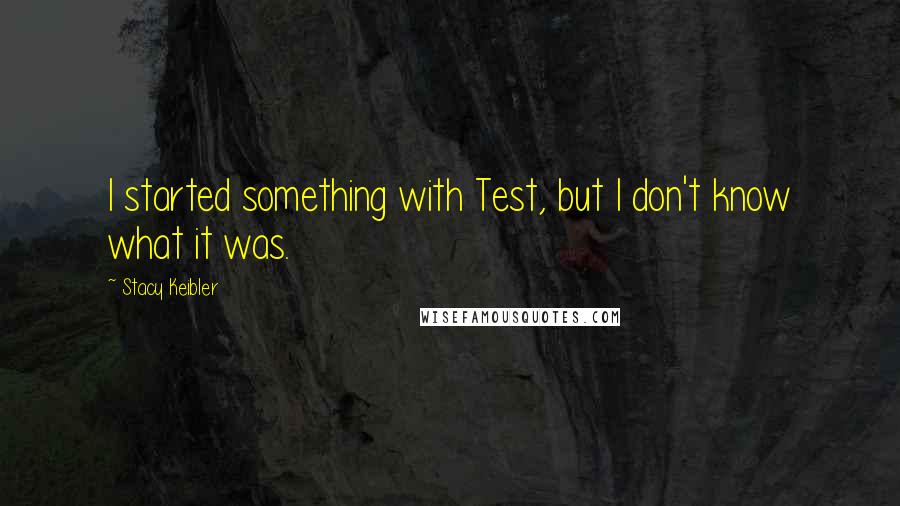 Stacy Keibler Quotes: I started something with Test, but I don't know what it was.