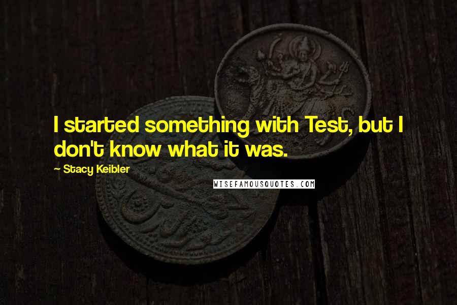 Stacy Keibler Quotes: I started something with Test, but I don't know what it was.