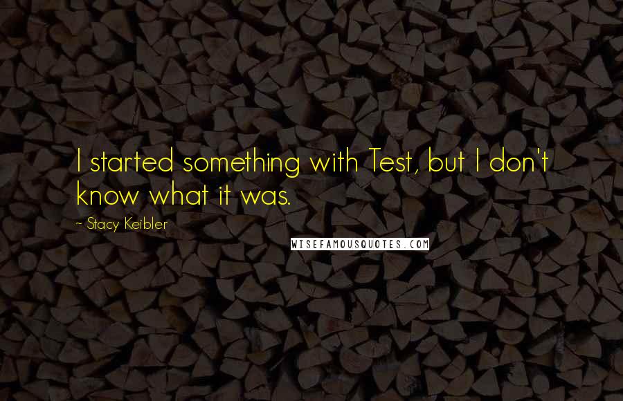 Stacy Keibler Quotes: I started something with Test, but I don't know what it was.