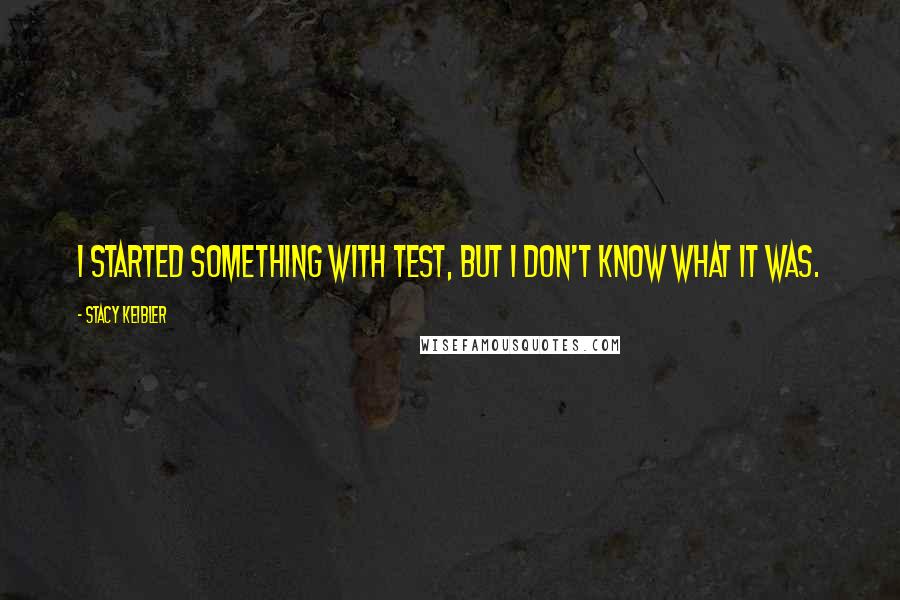 Stacy Keibler Quotes: I started something with Test, but I don't know what it was.