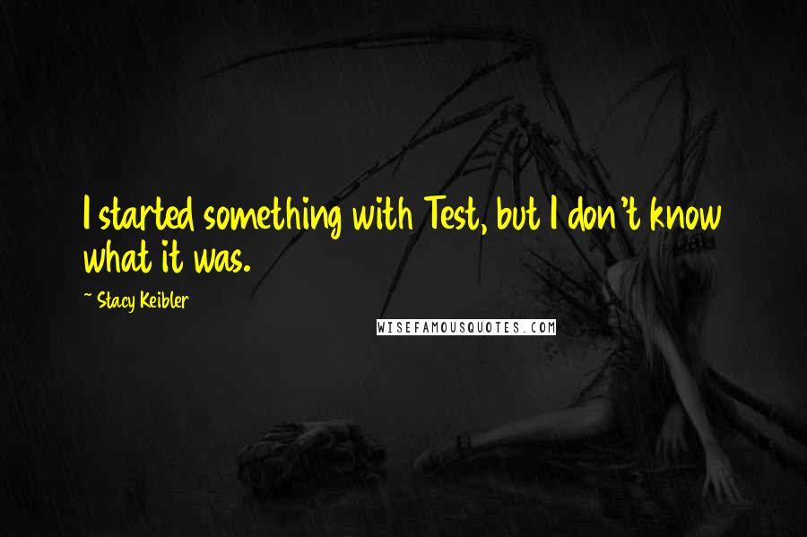 Stacy Keibler Quotes: I started something with Test, but I don't know what it was.