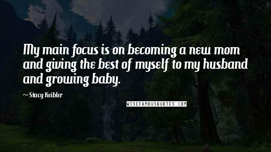 Stacy Keibler Quotes: My main focus is on becoming a new mom and giving the best of myself to my husband and growing baby.