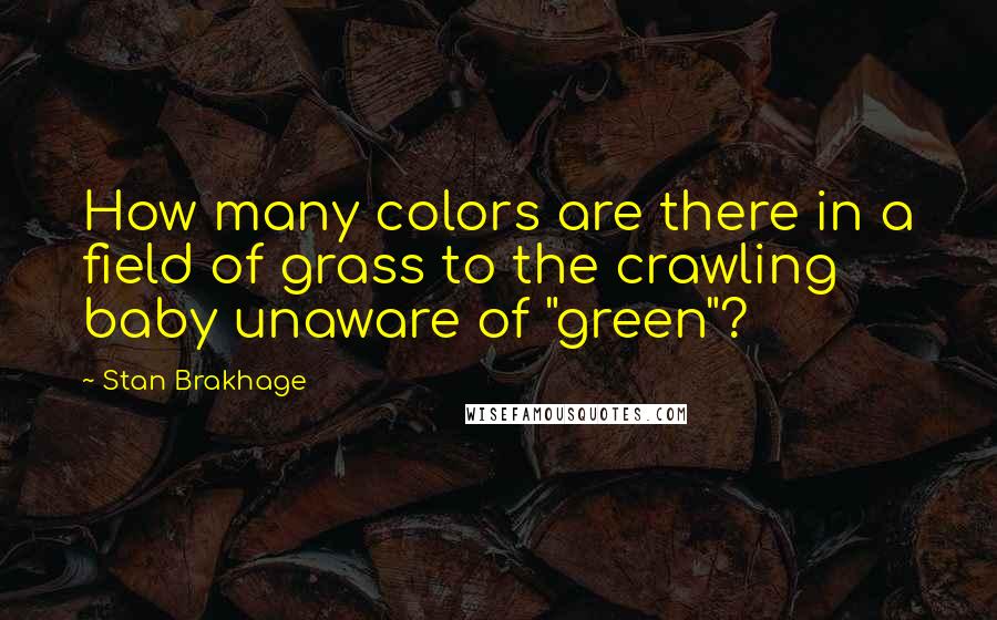 Stan Brakhage Quotes: How many colors are there in a field of grass to the crawling baby unaware of "green"?